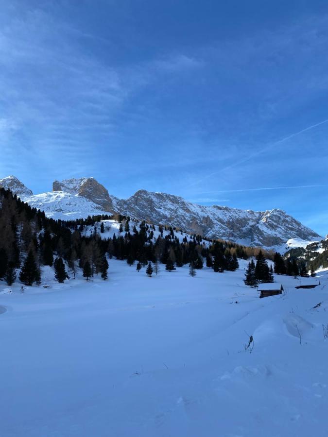 Casa Fiemme Panchia Leilighet Eksteriør bilde